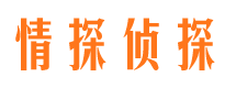 上甘岭侦探公司